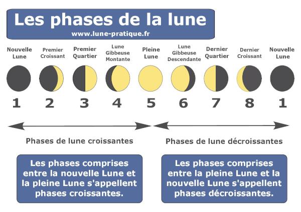 Infographie des 8 phases de la Lune : nouvelle lune, croissants, quartiers, pleine lune, gibbeuses