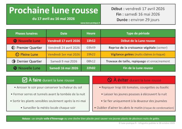 Tableau des phases lunaires de la Lune rousse 2026 avec les dates, heures et conseils jardin : à faire et à éviter pour protéger les cultures contre les gelées printanières.